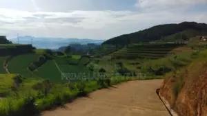 Land for Sale Ambewela