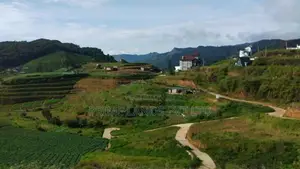 Land for Sale Ambewela