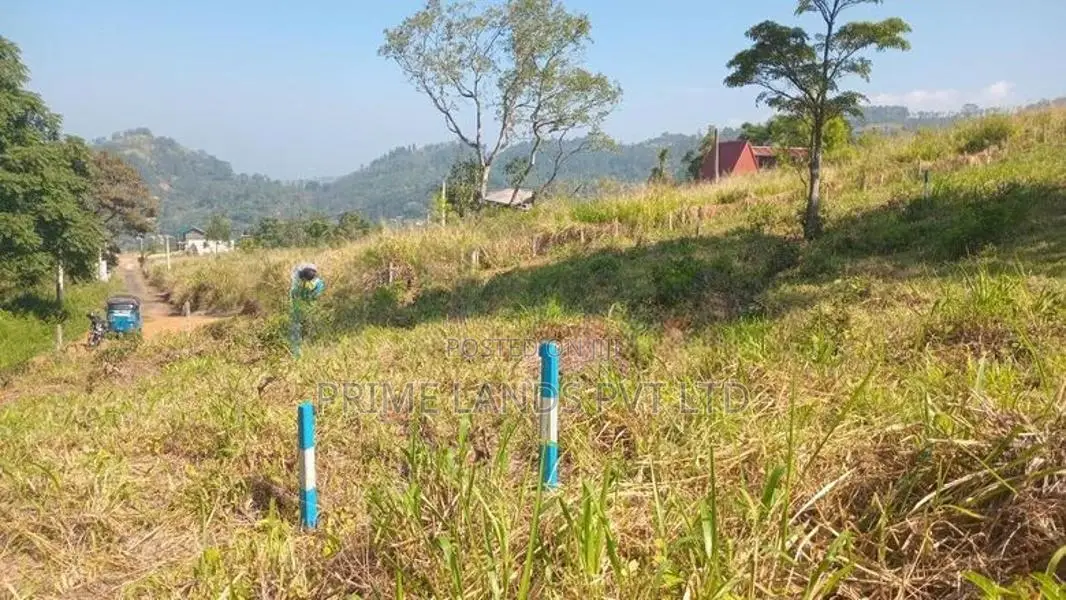 Land for Sale Pussellawa