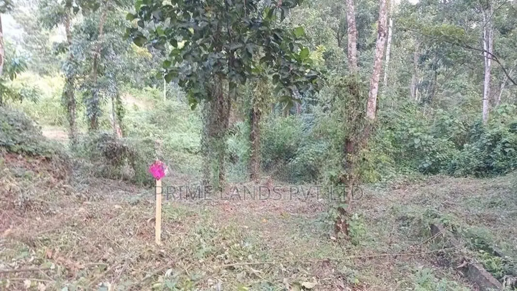 Land for Sale Nelundeniya