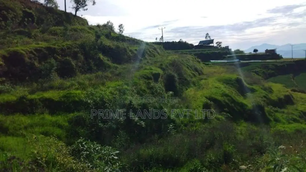 Land for Sale Ambewela