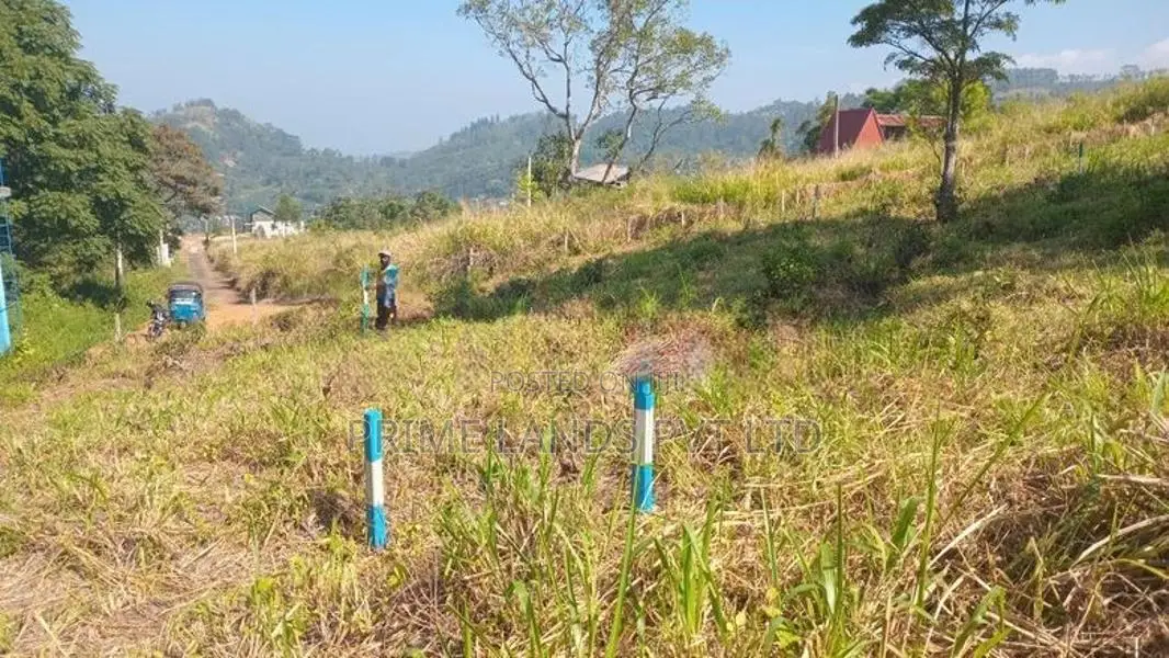 Land for Sale Pussellawa