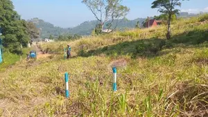 Land for Sale Pussellawa