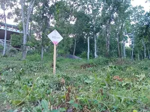 Land for Sale Nelundeniya
