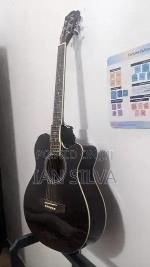 Kandence Guitar