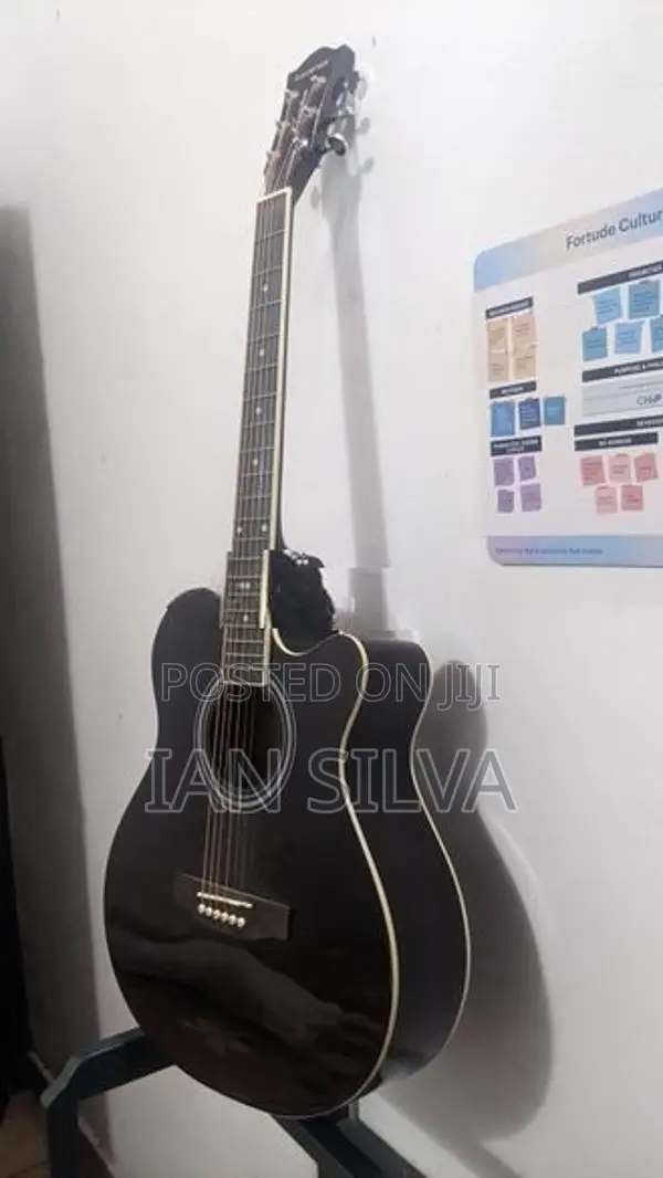 Kandence Guitar