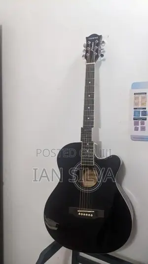 Kandence Guitar
