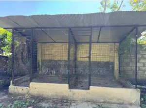 Dog Cage