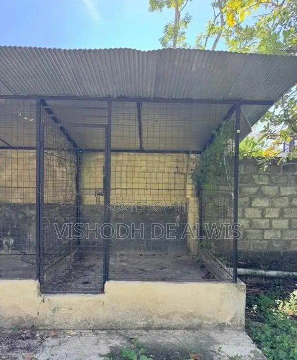 Dog Cage