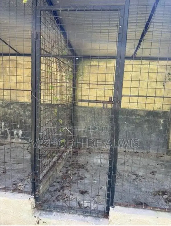 Dog Cage