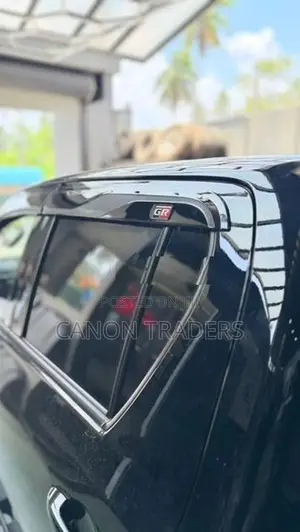 Hilux GR Door Moulding