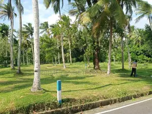 වේයන්ගොඩ මීරිගම 191 බස් පාරට මුහුණළා බිම් කොටස්