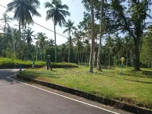 වේයන්ගොඩ මීරිගම 191 බස් පාරට මුහුණළා බිම් කොටස්
