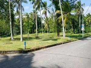 වේයන්ගොඩ මීරිගම 191 බස් පාරට මුහුණළා බිම් කොටස්
