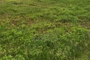 Land for sale in Colombo 15