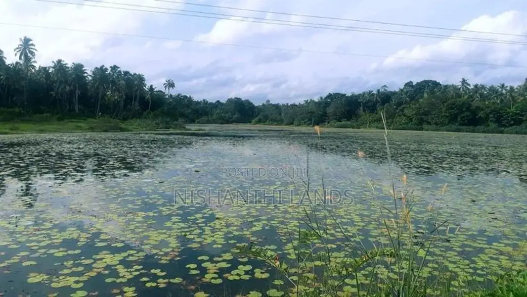 Land For Sale in Minuwangoda