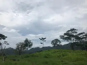 Land for Sale in Pussellawa