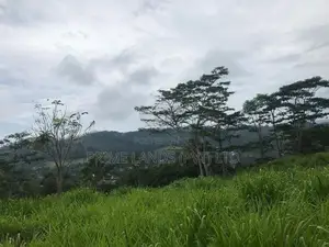 Land for Sale in Pussellawa