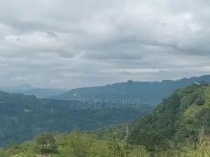 Holiday Bungalow Land for Sale Nuwara Eliya