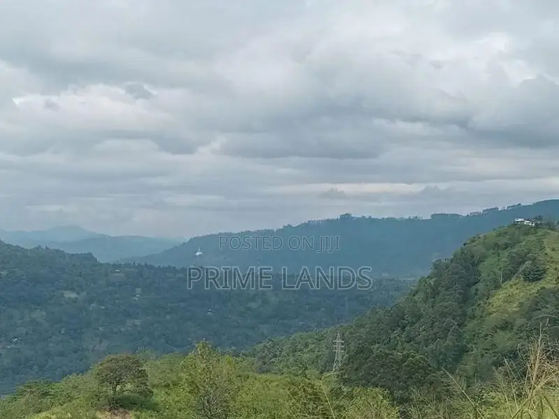 Holiday Bungalow Land for Sale Nuwara Eliya