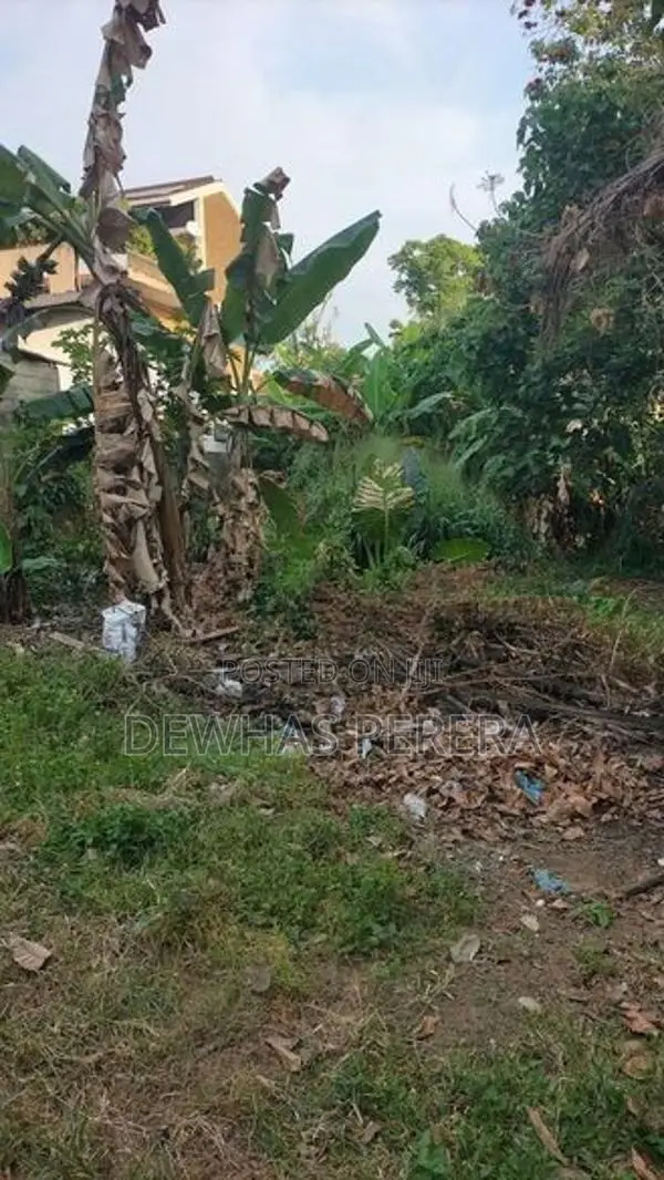 land for sale sapramadu place waragoda Kelaniya
