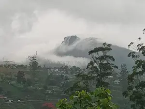 Holiday Bungalow Land for Sale Nuwara Eliya
