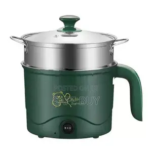 Electric Cooker with Steam