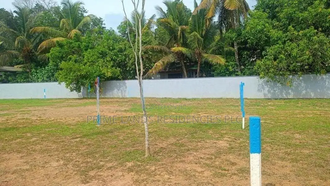 වත්තල නගරයේ නගනා බිම් කොටස්