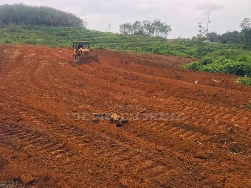 කලුතර නගරයෙන් පදිංචියට සුදුසු බිම් කොටස්