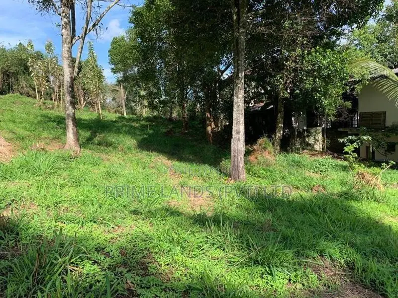 Land for Sale in Gurudeniya
