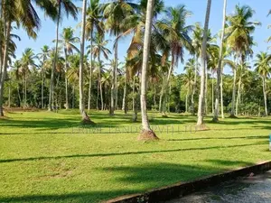 Land in Udugampola