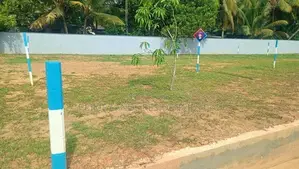 මීගමුවෙන් අගනා වී කොටස්
