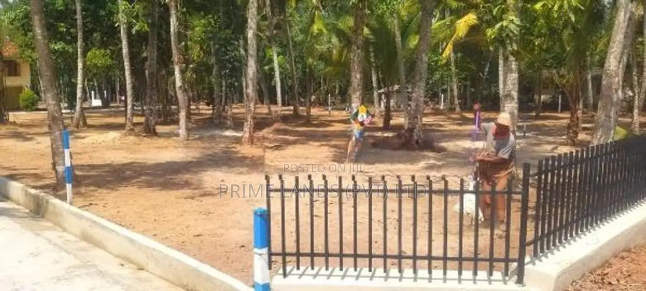 Land for Sale in Minuwangoda Ballapana