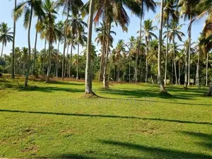 Land in Udugampola