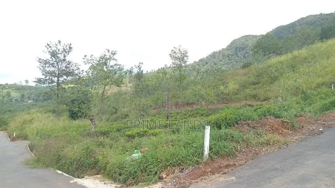 Best View Point Land for Sale Nuwara Eliya Road