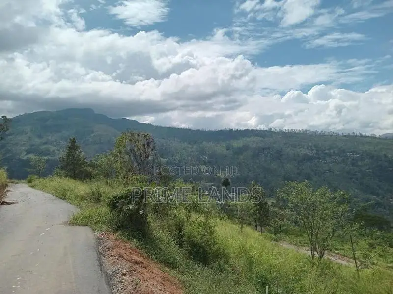 Land for Sale Nuwara Eliya Road Pundaluoya