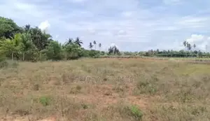 புன்னாலைக்கடுவன் பலாலி சாலை அருகில் காணி விற்பனைக்கு