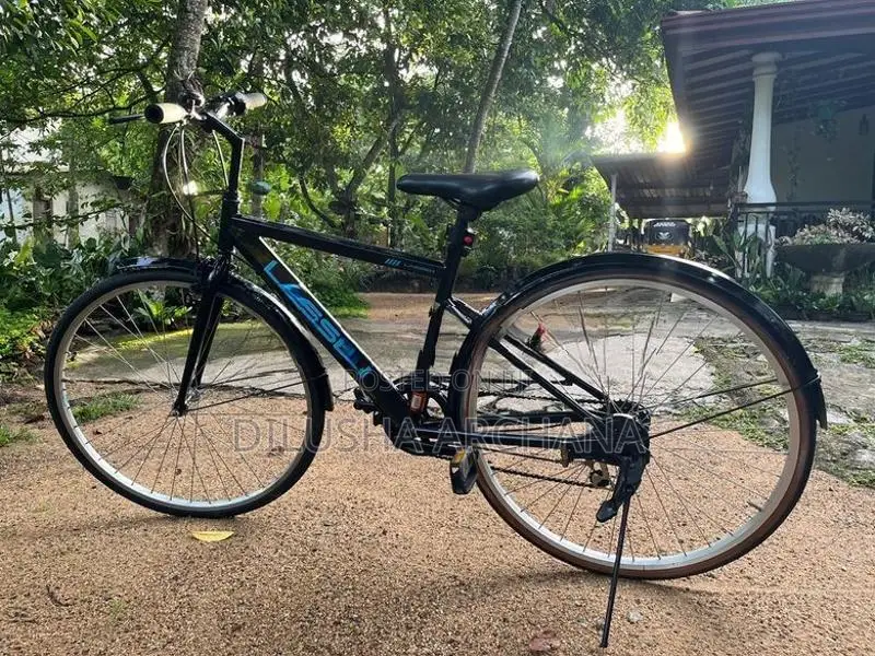 Bicycle