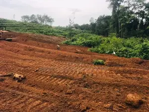 කලුතර නගරයෙන් පදිංචියට සුදුසු බිම් කොටස්