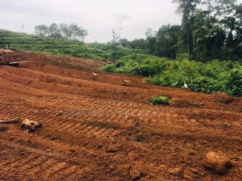 කලුතර නගරයෙන් පදිංචියට සුදුසු බිම් කොටස්
