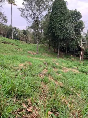 Land for Sale in Gurudeniya