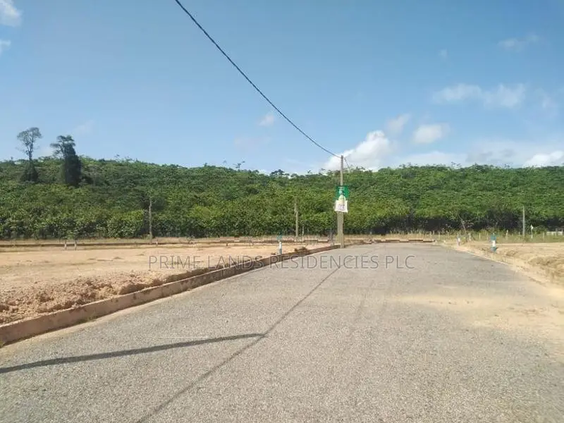 Land for Sale in අලුත්ගම වැලිපැන්න