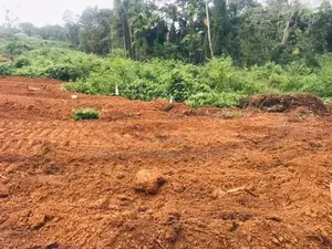 කලුතර නගරයෙන් පදිංචියට සුදුසු බිම් කොටස්