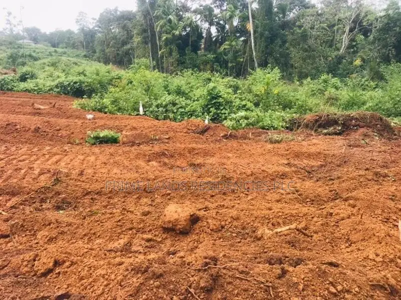 කලුතර නගරයෙන් පදිංචියට සුදුසු බිම් කොටස්