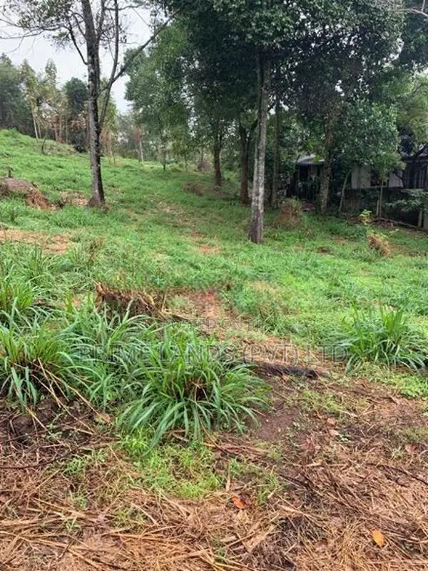 Land for Sale in Gurudeniya