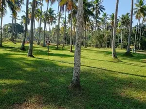 Land in Udugampola
