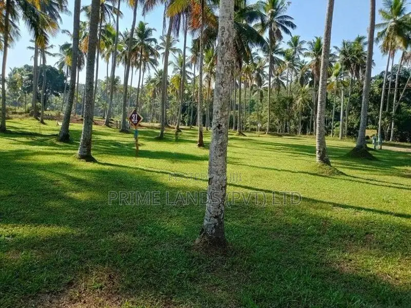 Land in Udugampola