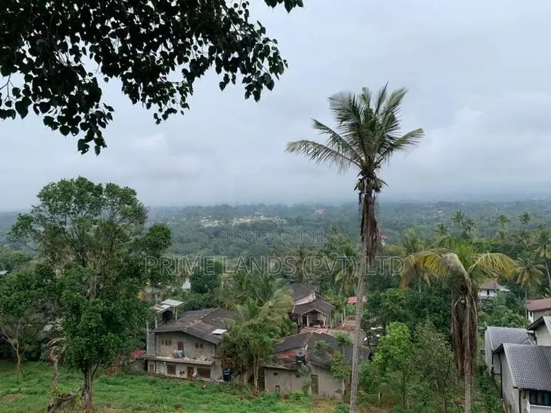 Land for Sale in Gurudeniya