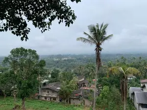 Land for Sale in Gurudeniya