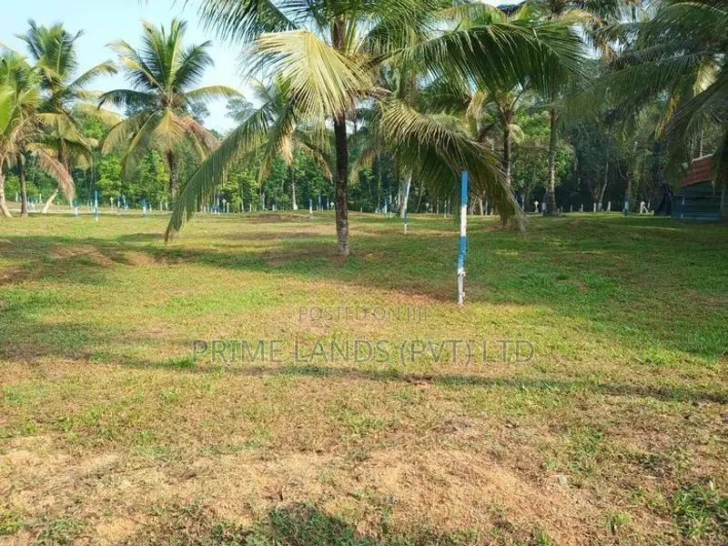 Lands for Sale in Veyangoda